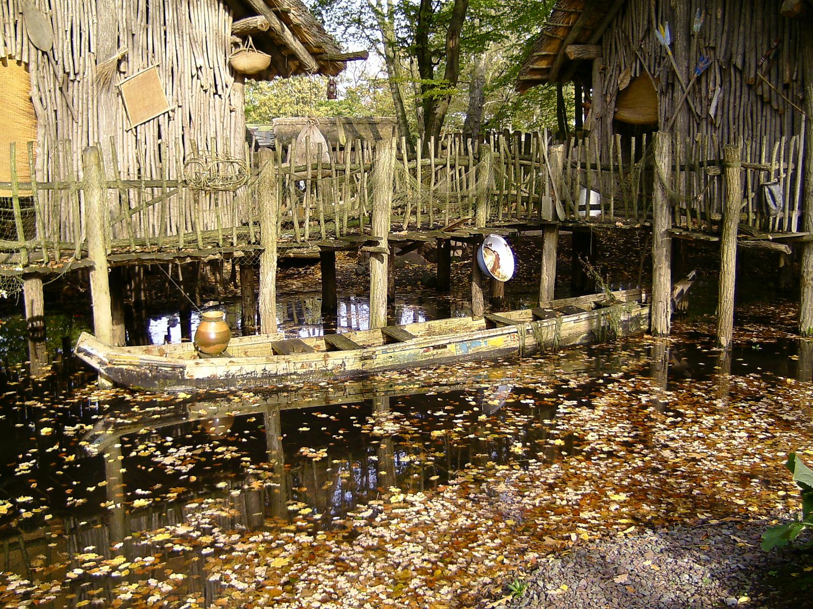 Zoom 18.10.08-079.jpg